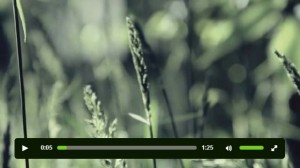 kickstarter_com_projects_catmuncey_division-the-first-feature-length-instagram-fi