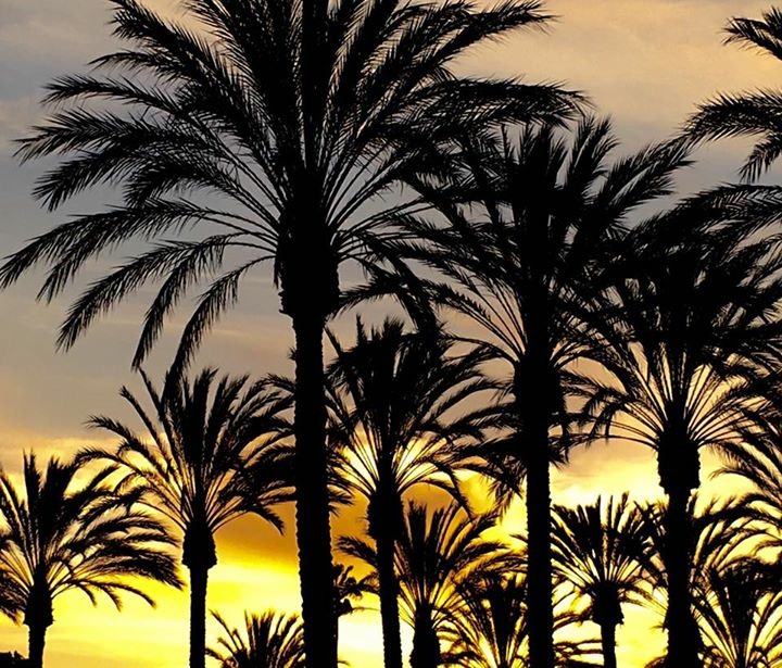 Photo credit: Julia Bramble