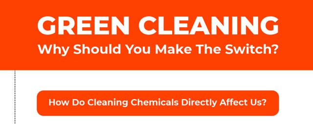 Why Should Businesses Show Leadership Initiatives to Become More Green?