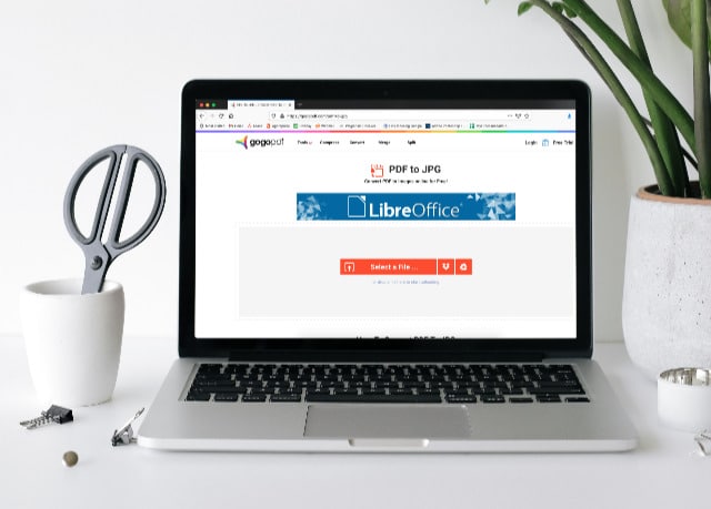 Converting PDF to JPG: What is the Best Platform to Convert?