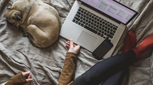 Thinking Of Starting An Online Home Based Business? Here Are Some Ideas