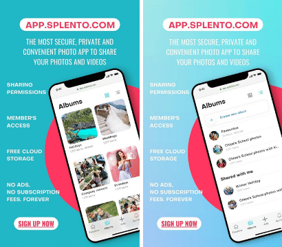 Revolutionize Your Visual Content Management – With a Single Click!