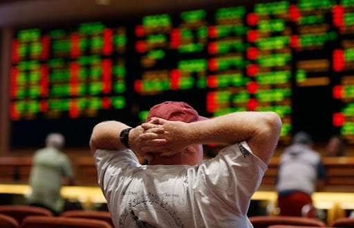 Choosing Sports Gambling Software for Business Needs