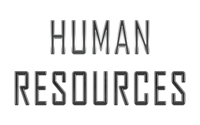Everything You Need to Know About a Career in HR: Explained