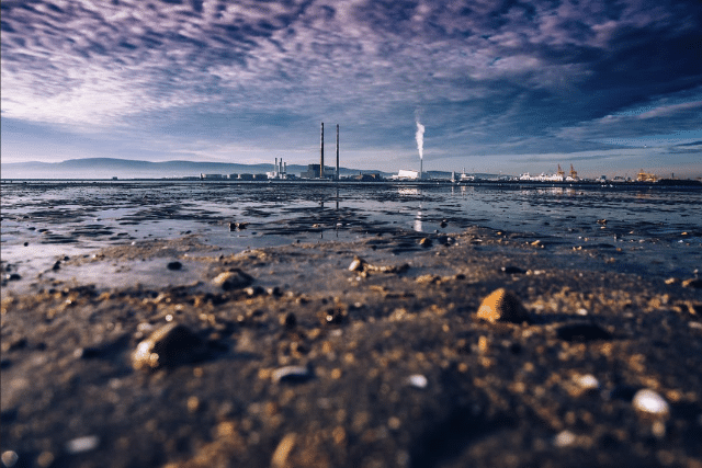 4 Reasons Why Contaminated Water Is a Threat to the Environment and Sustainability