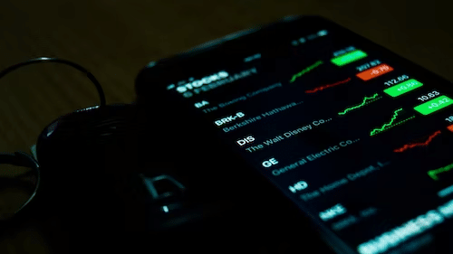 Carnivore Review 2023: Is this Trading Recommendation Worth it?