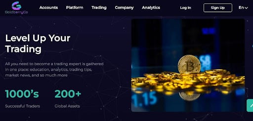 Goldberryco.com Review: Best Technical Indicators to Guide You
