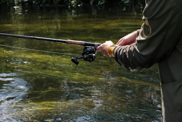 Fishing Reels: A Comprehensive Guide for Anglers
