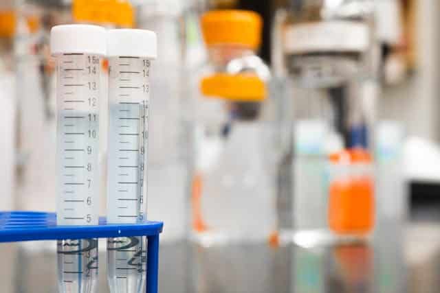 Indiana Drug Testing: What Businesses Need to Know About Testing Laws