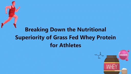 Breaking Down the Nutritional Superiority of Grass-Fed Whey Protein for Athletes