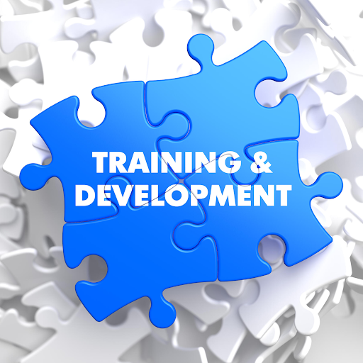 Engage Your Team with These Innovative Business Training Activities