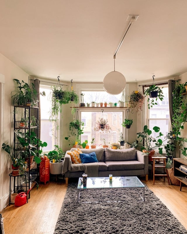 How Clean Air Enhances Both Home and Work Spaces
