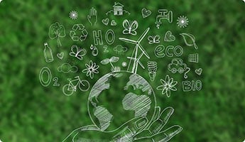 Environment & Sustainability