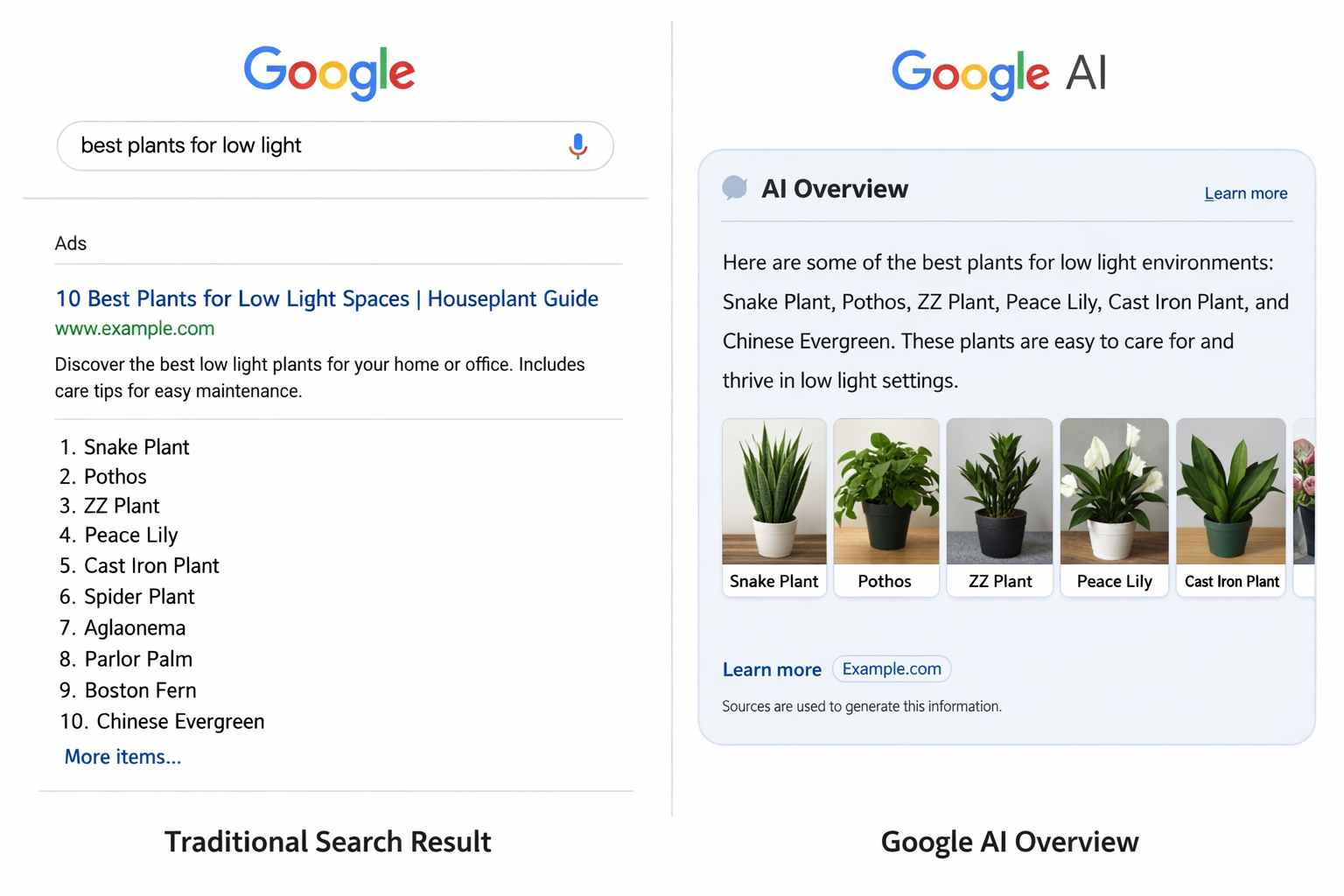 Google Search vs Google AI Overview for low light plants comparison showing traditional results and AI-generated summary.